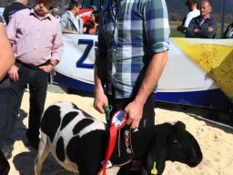 2019_ausstellung polling_598